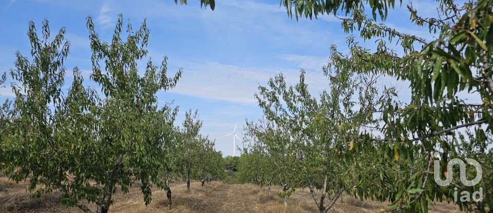 Farm land of 255,000 m² in Gandesa (43780)