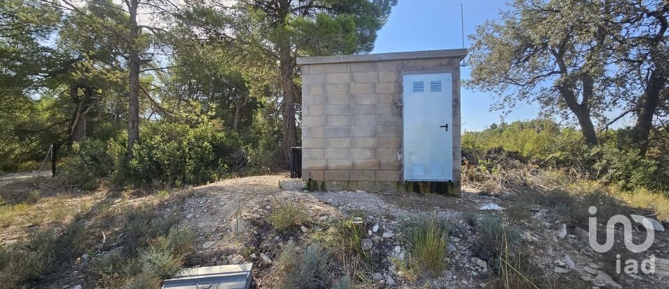 Farm land of 255,000 m² in Gandesa (43780)