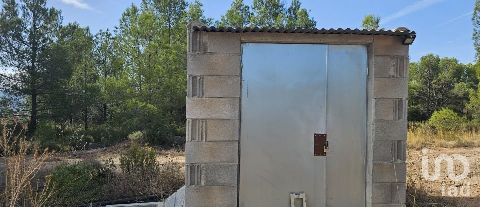 Farm land of 255,000 m² in Gandesa (43780)