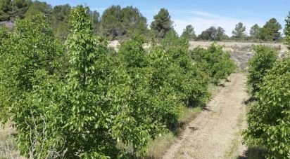 Farm land of 255,000 m² in Gandesa (43780)