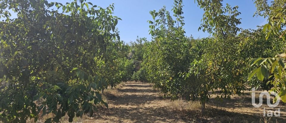 Farm land of 255,000 m² in Gandesa (43780)