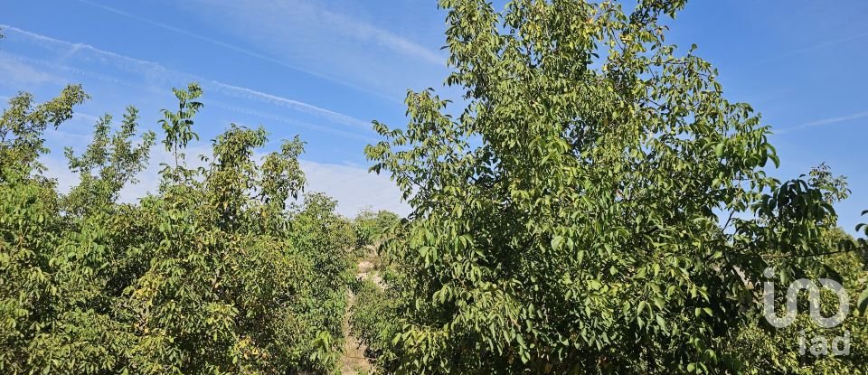 Farm land of 255,000 m² in Gandesa (43780)