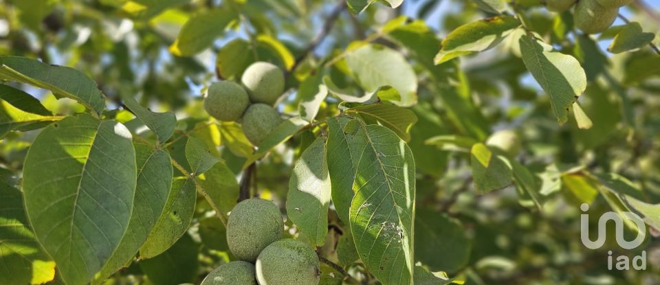 Farm land of 255,000 m² in Gandesa (43780)