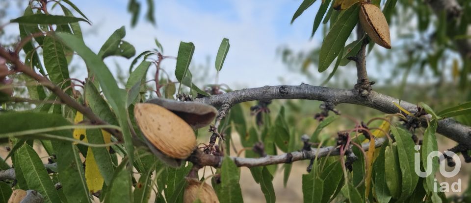 Farm land of 255,000 m² in Gandesa (43780)