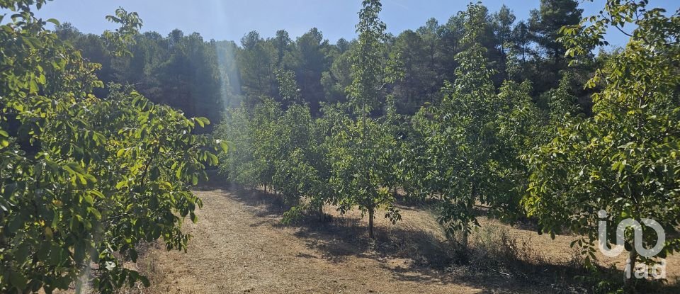 Farm land of 255,000 m² in Gandesa (43780)