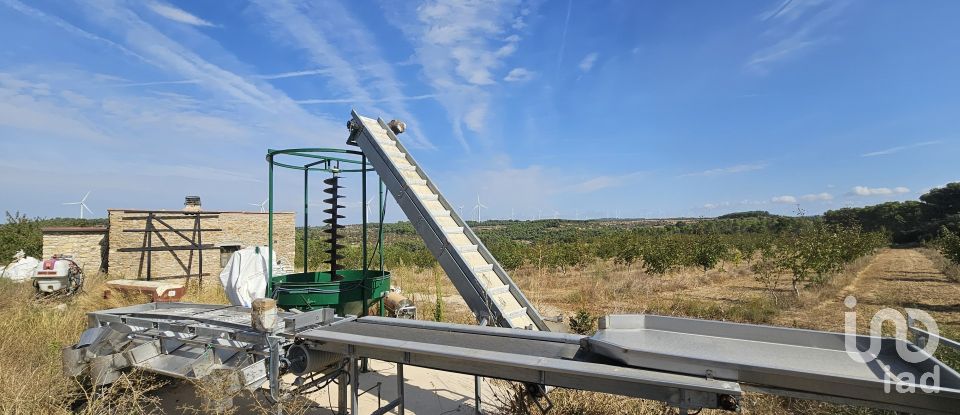 Farm land of 255,000 m² in Gandesa (43780)