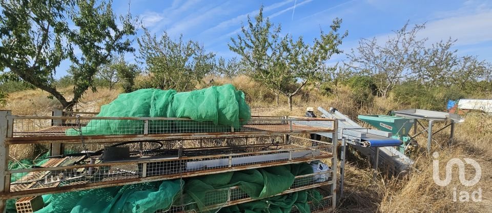 Farm land of 255,000 m² in Gandesa (43780)