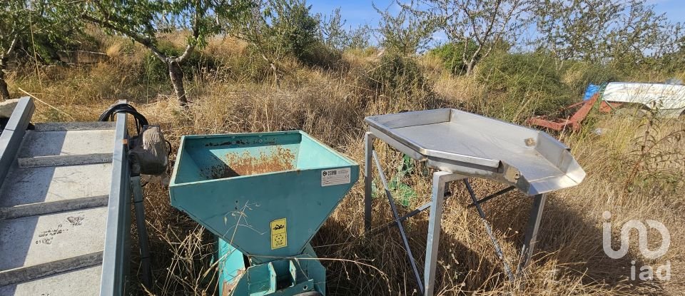 Farm land of 255,000 m² in Gandesa (43780)