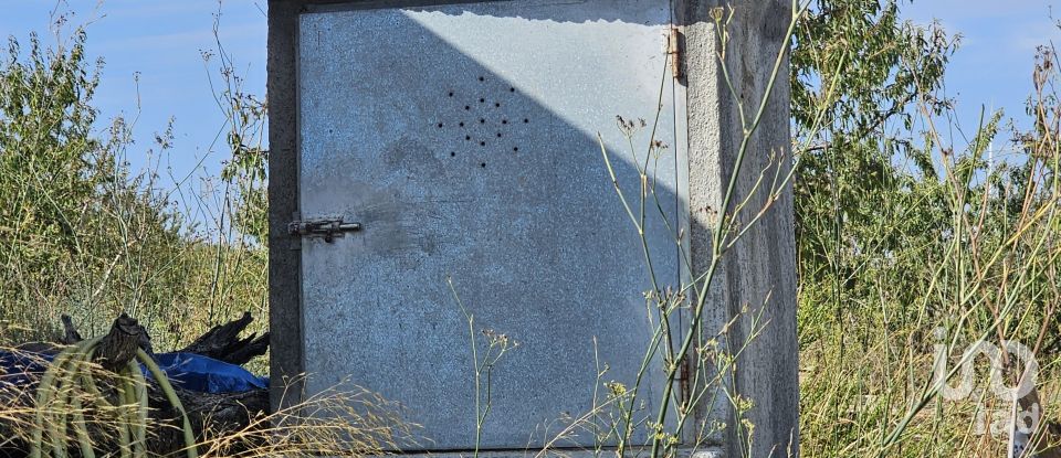 Farm land of 255,000 m² in Gandesa (43780)