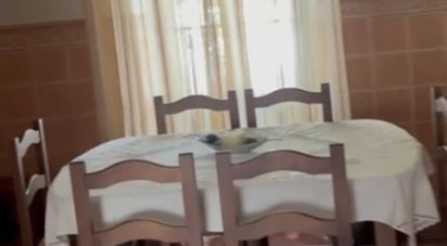 House 4 bedrooms of 243 m² in Huelma (23560)