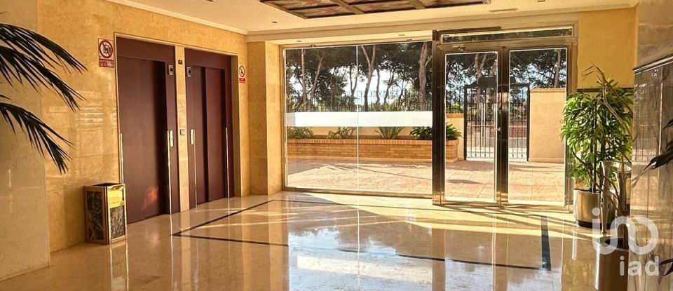 Piso 2 habitaciones de 61 m² en Oropesa/Oropesa del Mar (12594)