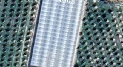 Other surface of 220,000 m² in Flix (43750)