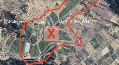 Other surface of 220,000 m² in Flix (43750)