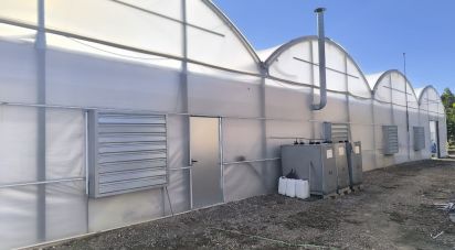 Other surface of 220,000 m² in Flix (43750)