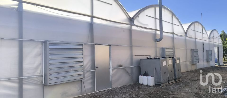 Superfície variada de 220.000 m² a Flix (43750)