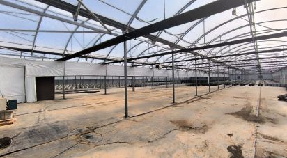 Other surface of 220,000 m² in Flix (43750)