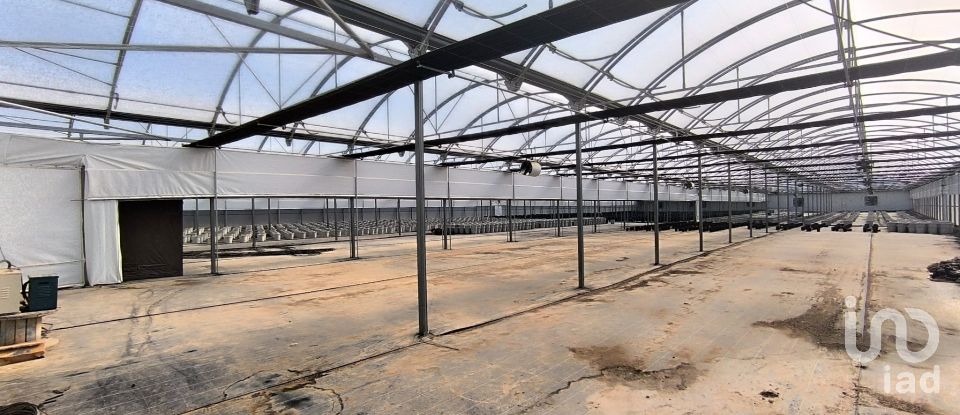 Superfície variada de 220.000 m² a Flix (43750)