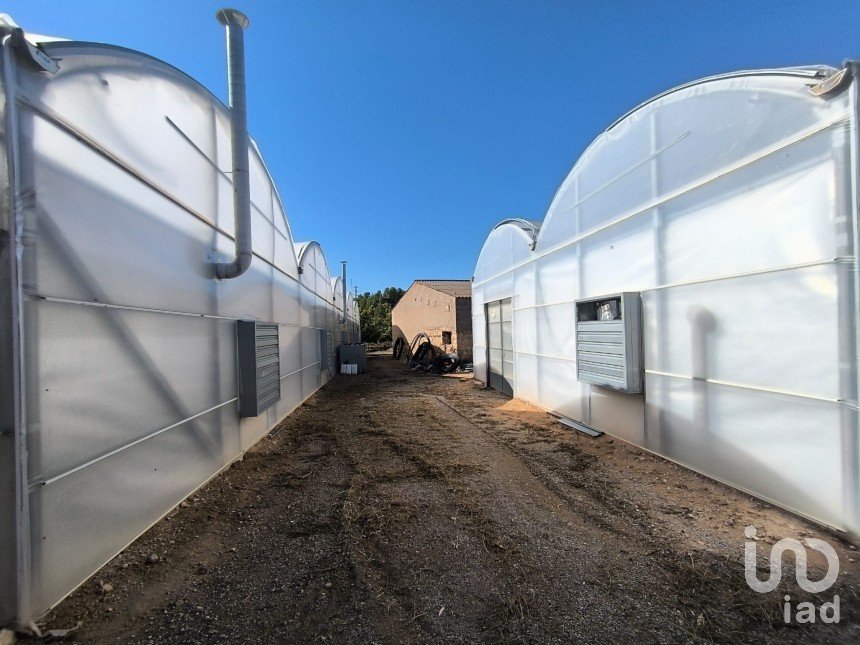 Superfície variada de 220.000 m² a Flix (43750)