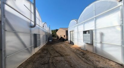 Other surface of 220,000 m² in Flix (43750)