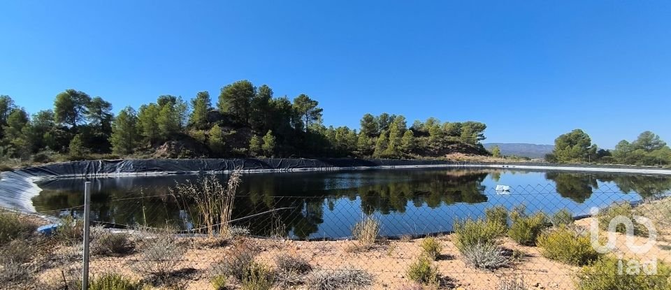 Superfície variada de 220.000 m² a Flix (43750)