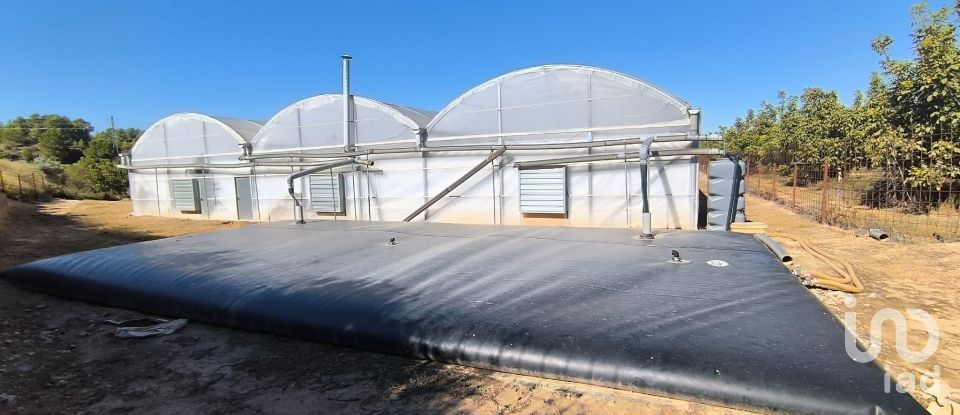 Superfície variada de 220.000 m² a Flix (43750)