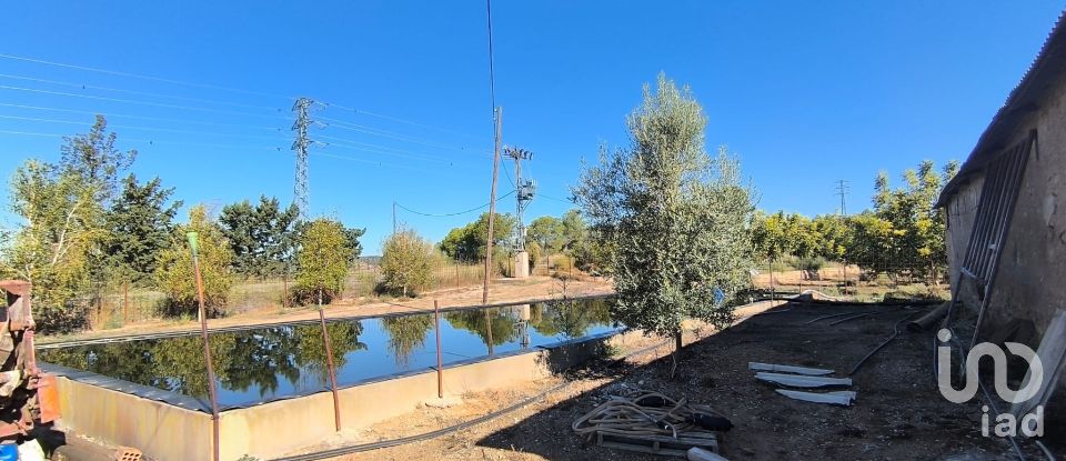 Superfície variada de 220.000 m² a Flix (43750)