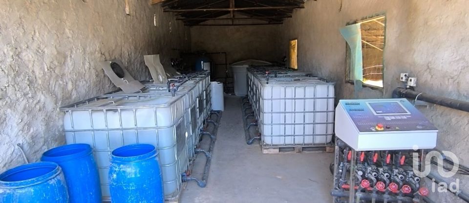 Superfície variada de 220.000 m² a Flix (43750)