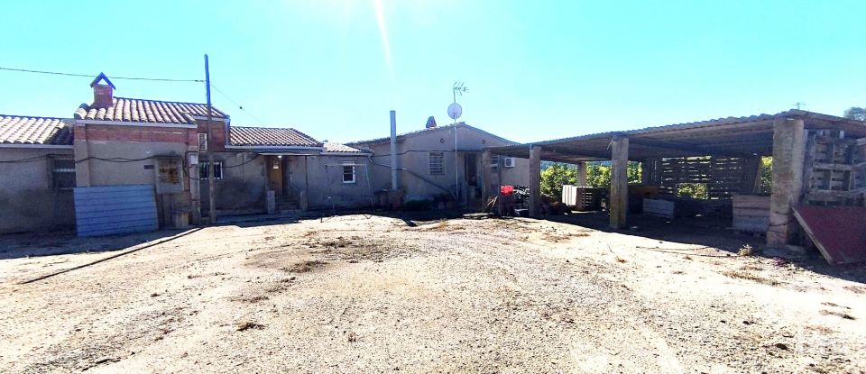 Superfície variada de 220.000 m² a Flix (43750)