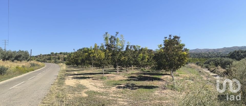 Superfície variada de 220.000 m² a Flix (43750)