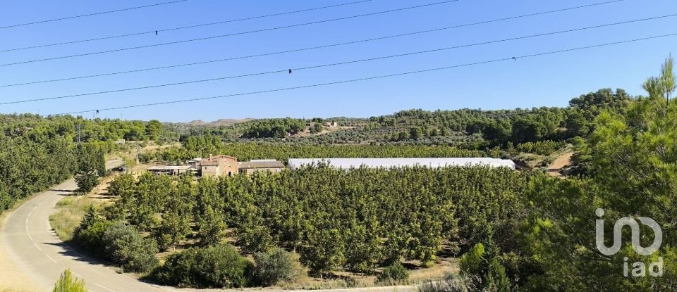 Superfície variada de 220.000 m² a Flix (43750)