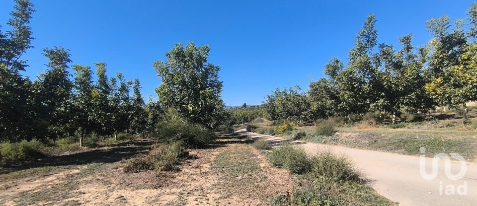 Superfície variada de 220.000 m² a Flix (43750)