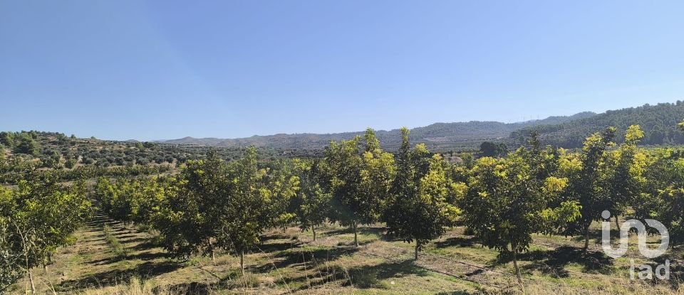 Superfície variada de 220.000 m² a Flix (43750)