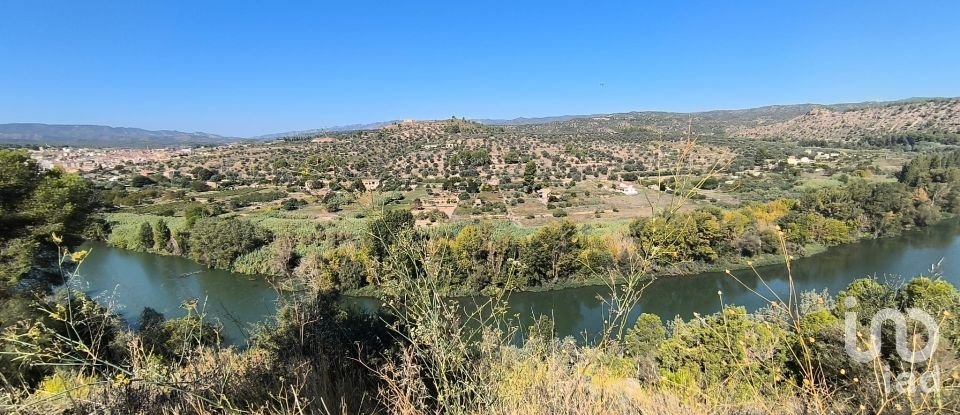 Superfície variada de 220.000 m² a Flix (43750)