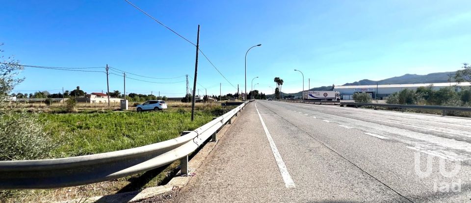 Terrain de 3 688 m² à Amposta (43870)