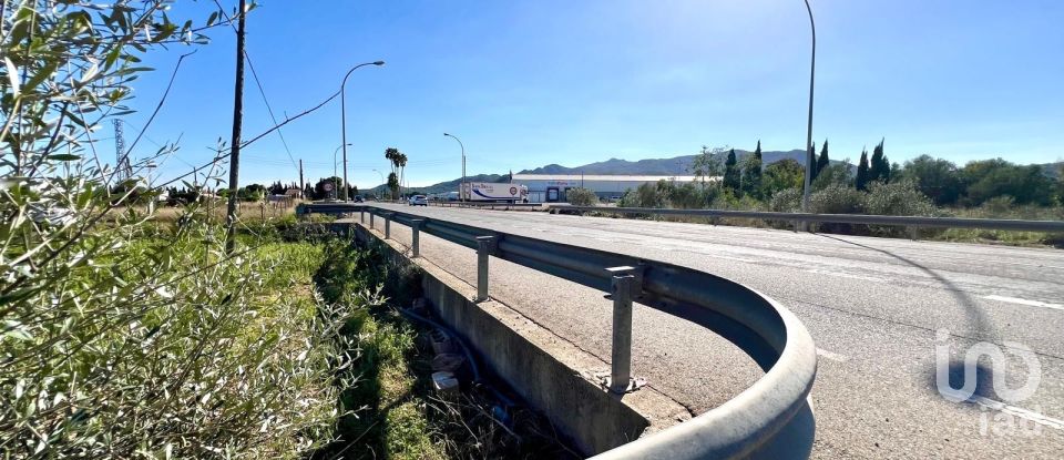 Terrain de 3 688 m² à Amposta (43870)