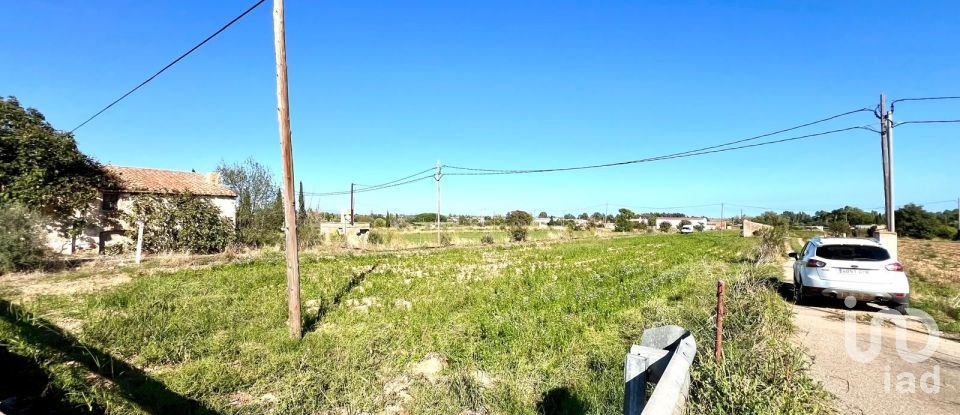Terrain de 3 688 m² à Amposta (43870)