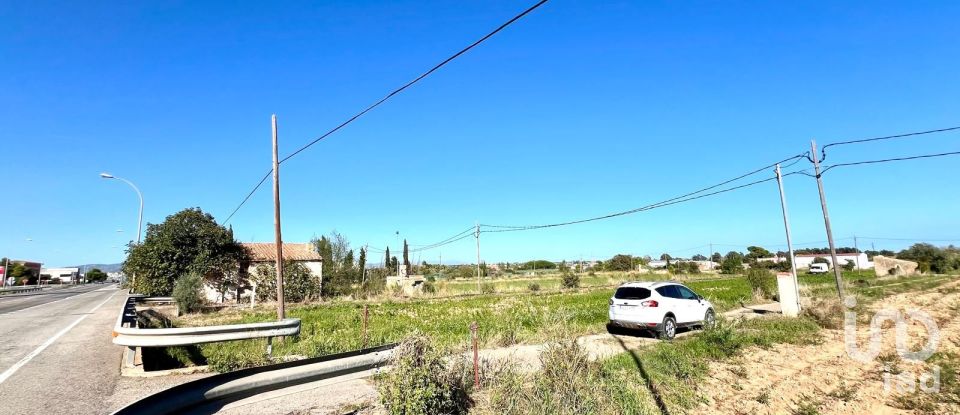 Terrain de 3 688 m² à Amposta (43870)