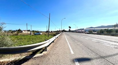 Land of 3,688 m² in Amposta (43870)