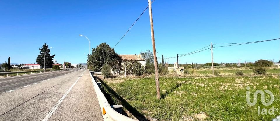 Terrain de 3 688 m² à Amposta (43870)
