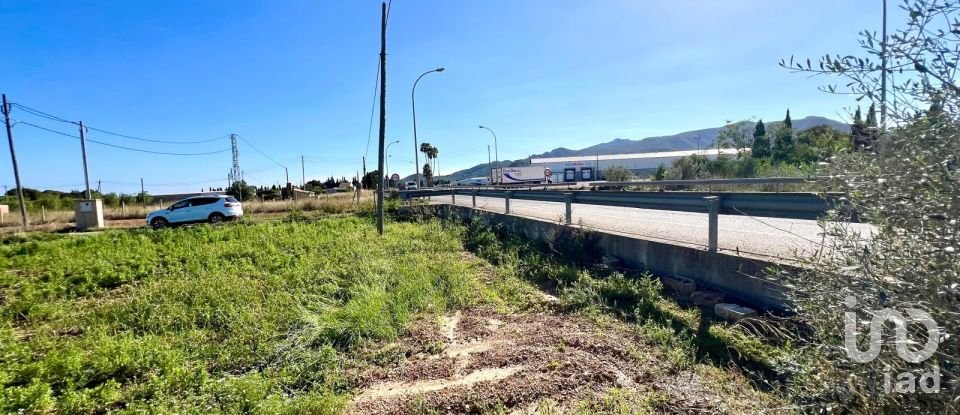 Terrain de 3 688 m² à Amposta (43870)