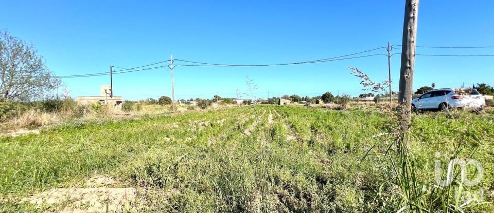 Terrain de 3 688 m² à Amposta (43870)
