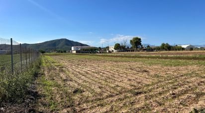 Land of 3,688 m² in Amposta (43870)