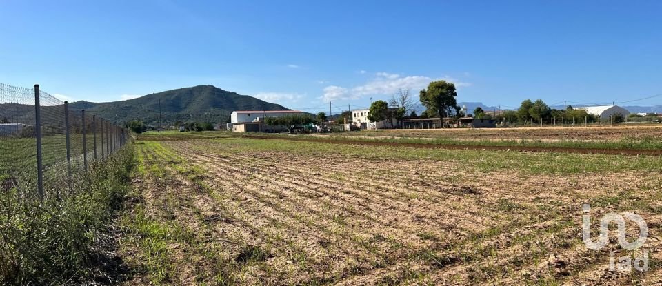 Terrain de 3 688 m² à Amposta (43870)