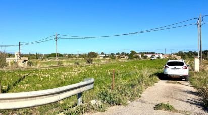 Land of 3,688 m² in Amposta (43870)