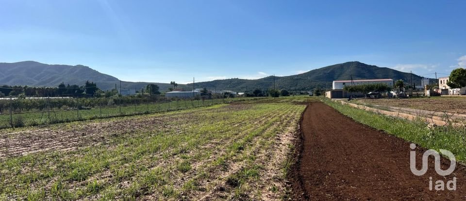 Terrain de 3 688 m² à Amposta (43870)