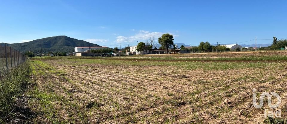 Terrain de 3 688 m² à Amposta (43870)