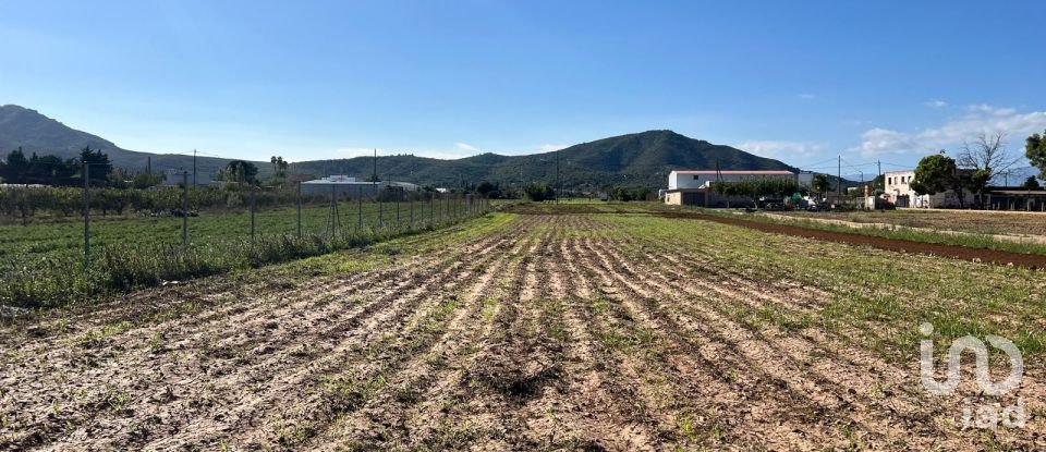 Terrain de 3 688 m² à Amposta (43870)