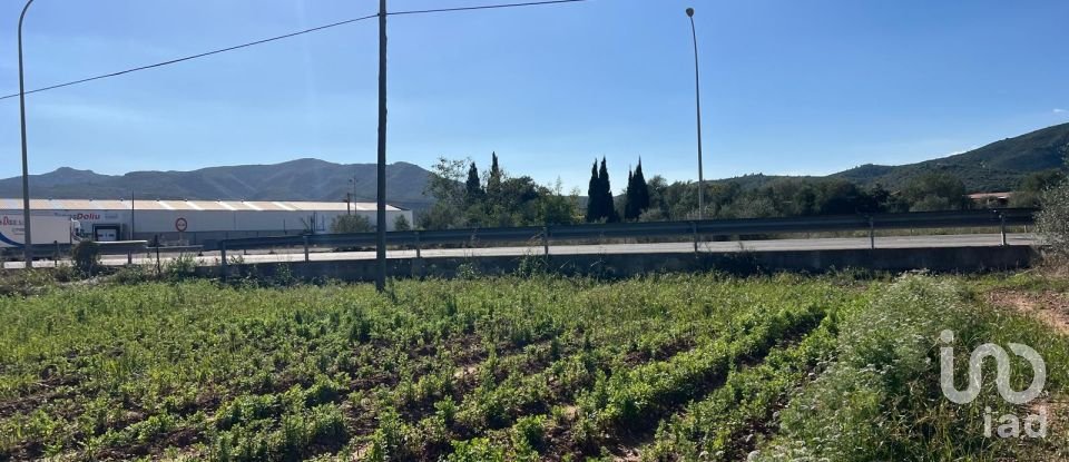 Terrain de 3 688 m² à Amposta (43870)