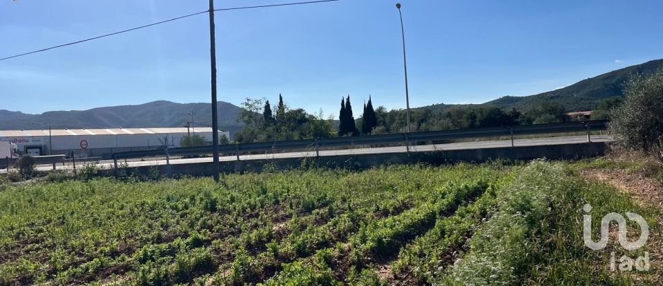 Terrain de 3 688 m² à Amposta (43870)