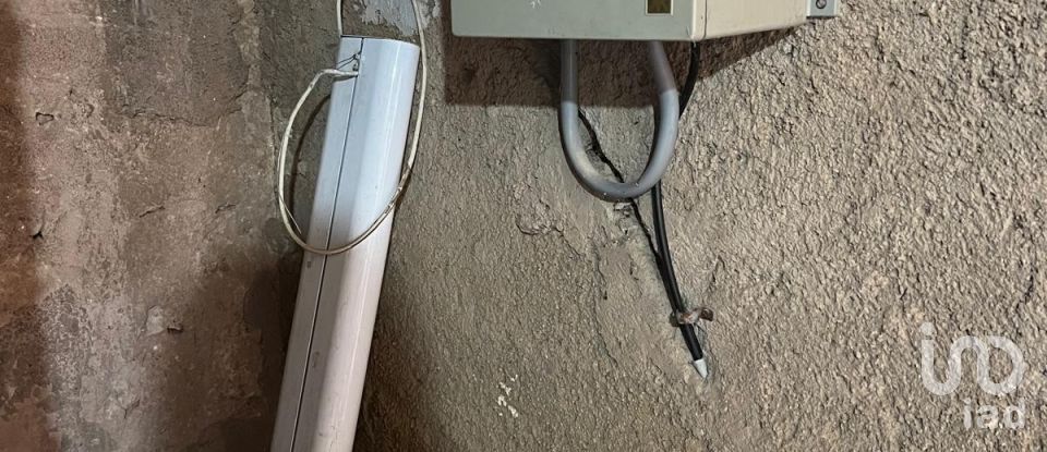 Terrain de 3 688 m² à Amposta (43870)